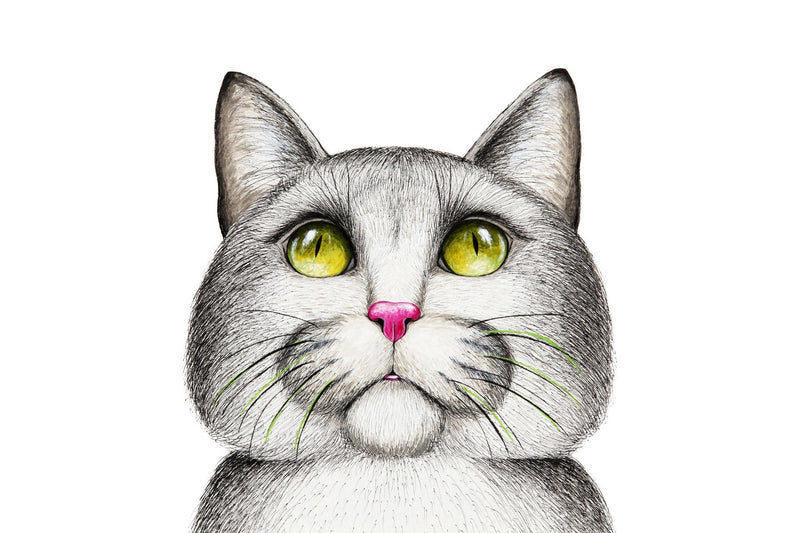 5 modi per dipingere un gatto