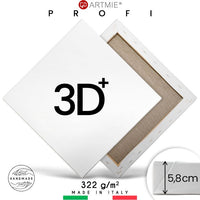 3D+ Maliarske plátno na ráme PROFI | Rôzne rozmery — obrázok 6