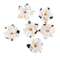 Fiori di carta 3D