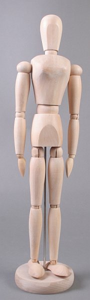 Drveni model ljudskog tijela - žena - 40 cm