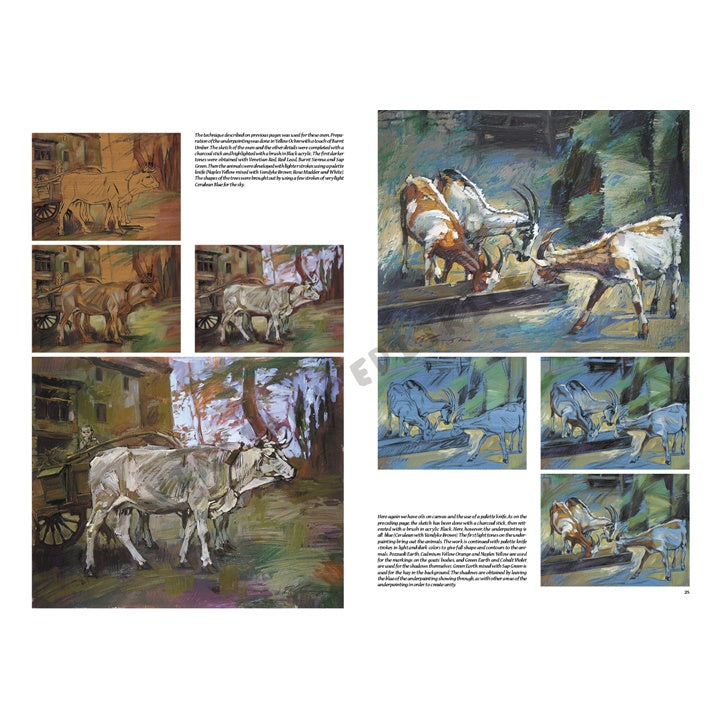 Collezione Leonardo 13 - Animali