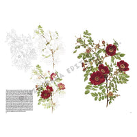 Leonardo Kollektion 42 Rosen – Detailansicht 4 | ARTMIE