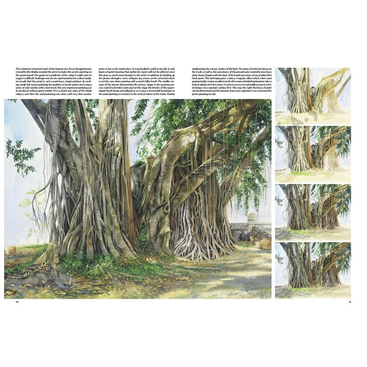 Sammlung Leonardo 45 Bäume und Blätter – Detailansicht 5 | ARTMIE