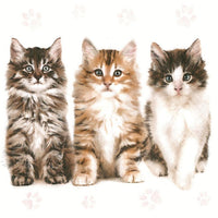 Χαρτοπετσέτες για ντεκουπάζ Tree Beautiful Cats - 1 τεμάχιο