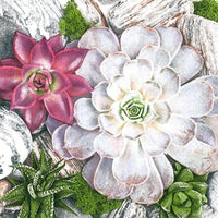 Салфетки за декупаж Succulent Plants and Stones Composition - 1 брой