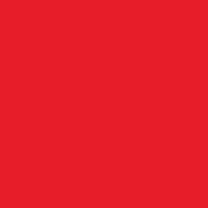 Pentart Textil-Batikfarbe 80 ml | verschiedene Farbtöne | rot