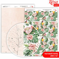 Carte per scrapbooking King Protea A4 | vari motivi — immagine 1