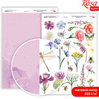 Carte per scrapbooking Wild Flowers A4 | vari motivi — immagine 9