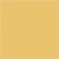 Dekorative Chalky Kreidefarbe Pentart 100 ml | verschiedene Farbtöne | 21475 - mandarínková