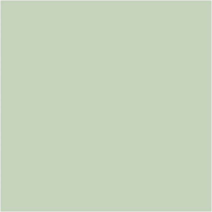 Dekorative Chalky Kreidefarbe Pentart 100 ml | verschiedene Farbtöne | 21478 - flechtengrün