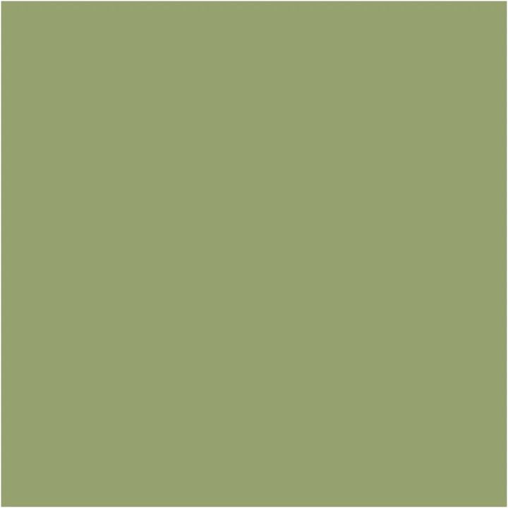 Dekorative Chalky Kreidefarbe Pentart 100 ml | verschiedene Farbtöne | 21479 - olivová