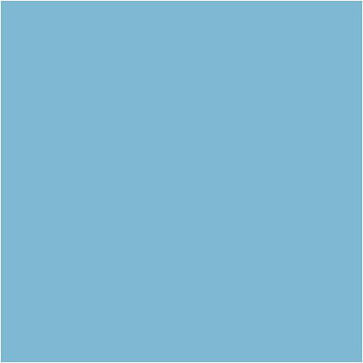 Dekorative Chalky Kreidefarbe Pentart 100 ml | verschiedene Farbtöne | 21480 - Flax-modrá