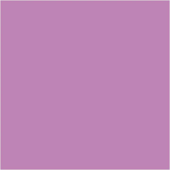 Dekorative Chalky Kreidefarbe Pentart 100 ml | verschiedene Farbtöne | ARTMIE