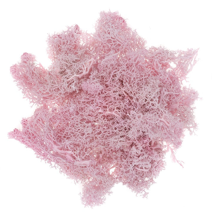 Muschio di renna naturale 30 g | scegli un colore