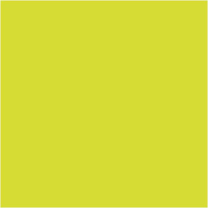Pentart Glow-in-the-Dark Contour Paint 20 ml | Varie tonalità