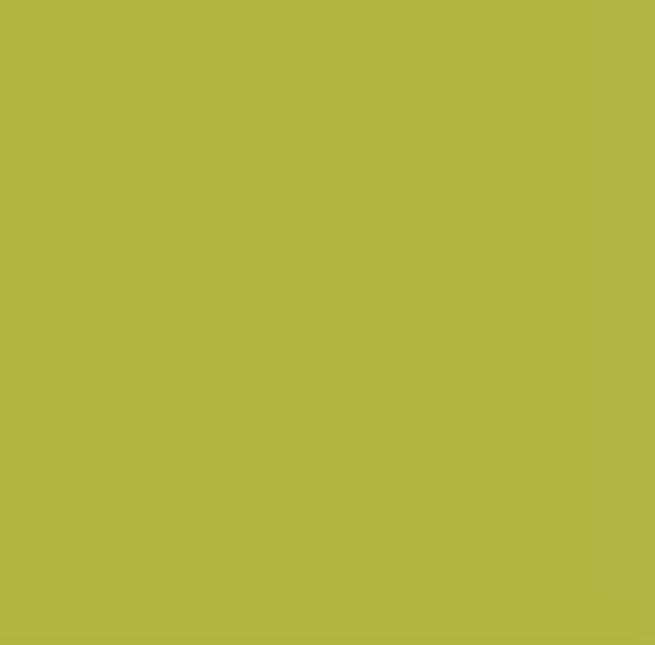 Pittura decorativa gessosa Pentart | Varie tonalità